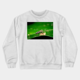 Taste tasting Crewneck Sweatshirt